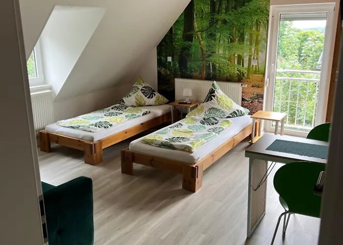Rennsteigscheune Rum i privatbostad Steinbach am Wald